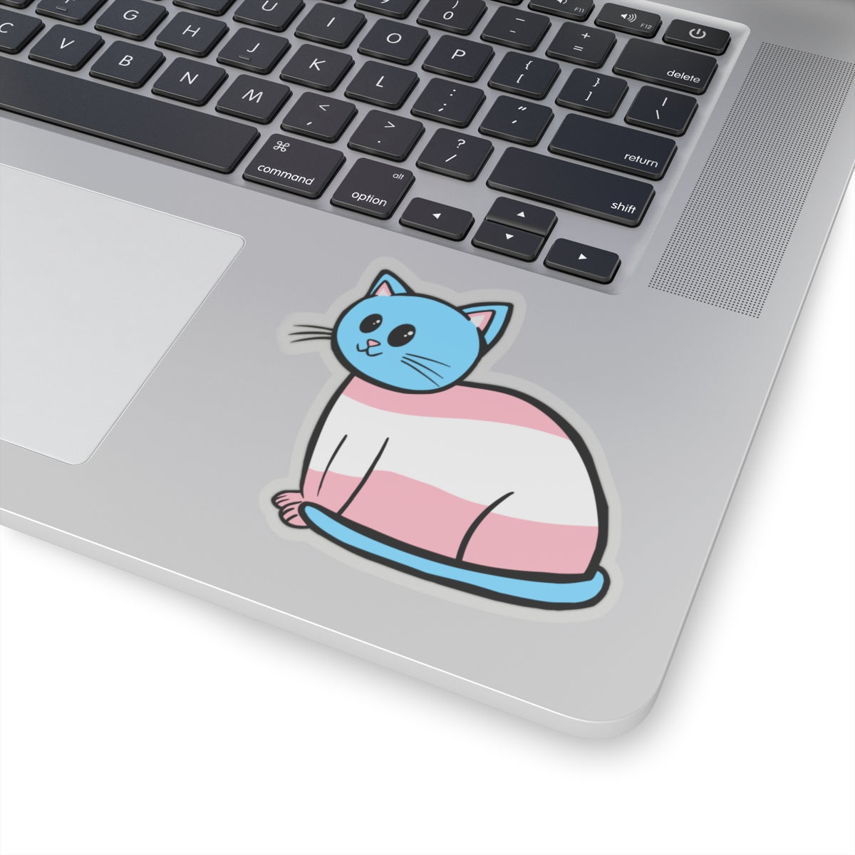 Transgender Cat Sticker